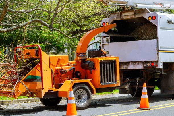Best Firewood Processing and Delivery  in Lincoln, IL